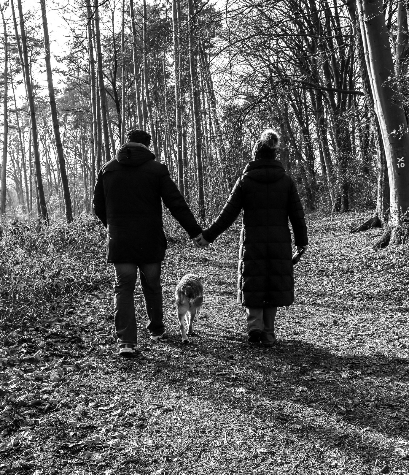 Einfühlsame Hundefotografie in einer besonderen Abschiedssituation