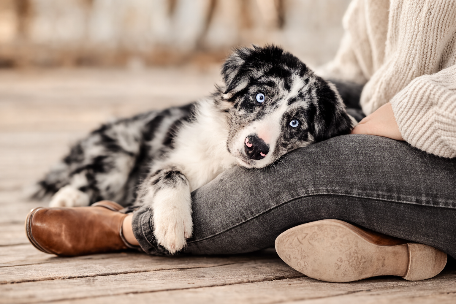 meine angebote header